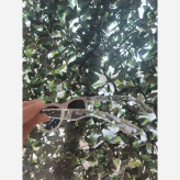 عینک آفتابی دخترانه اکلیلی صورتی UV400 مناسب 4 تا 8 سال